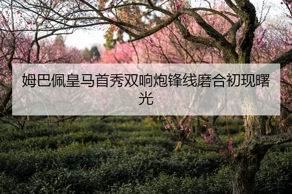 mu-ba-pei-huang-ma-shou-xiu-shuang-xiang-pao-feng-xian-mo-he-chu-xian-shu-guang-2-168.jpg