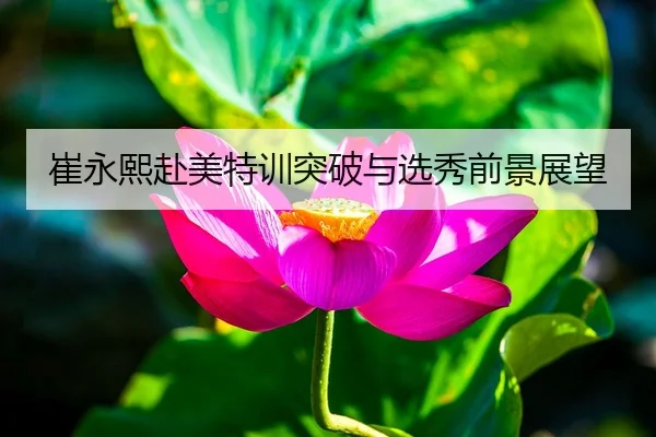 崔永熙赴美特训突破与选秀前景展望