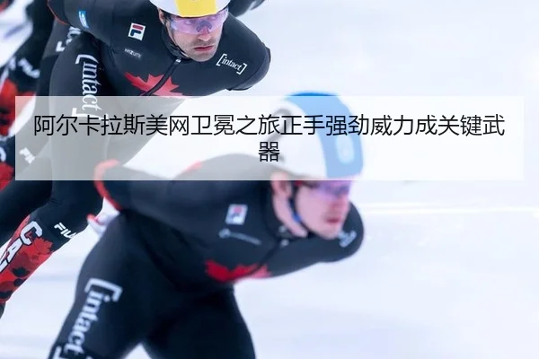 a-er-ka-la-si-mei-wang-wei-mian-zhi-lv-zheng-shou-qiang-jing-wei-li-cheng-guan-jian-wu-qi-2-359.jpg