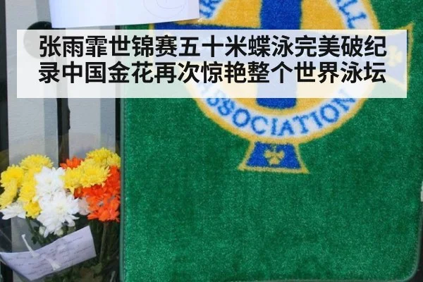 张雨霏世锦赛五十米蝶泳完美破纪录中国金花再次惊艳整个世界泳坛
